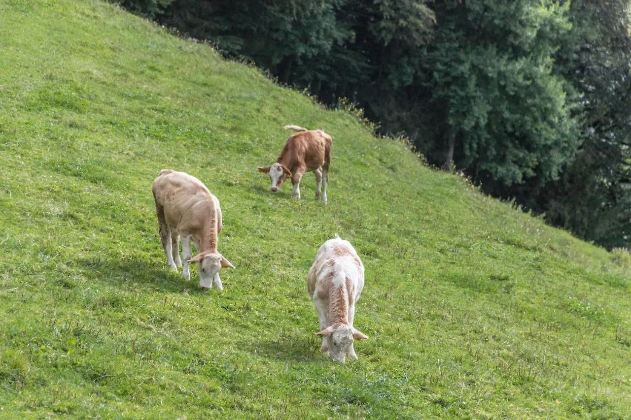 Ferienwohnung Rohnberg Schliersee Německo